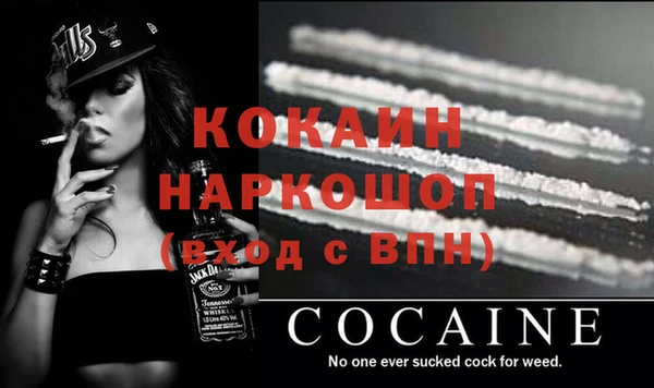 гидропоника Бородино