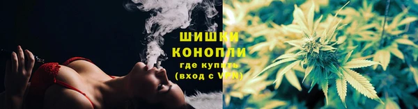 гидропоника Бородино