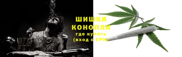 гидропоника Бородино