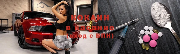 гидропоника Бородино