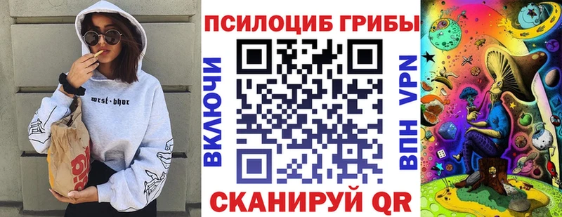 Галлюциногенные грибы Psilocybine cubensis Медынь